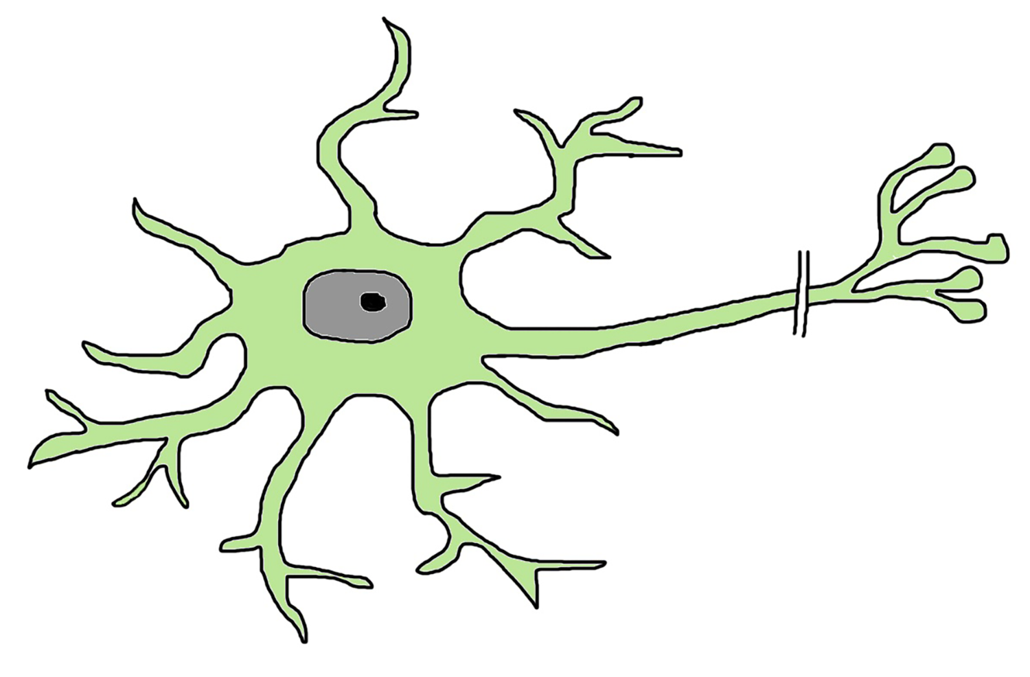 Stem Cell Illustration